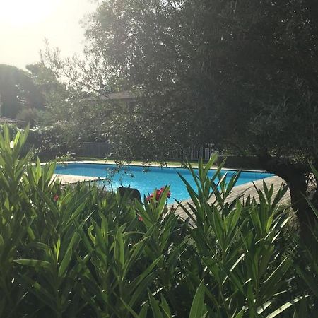 Appartement Appt T2 Standing avec Piscine et Terrasse à Porto-Vecchio  Extérieur photo
