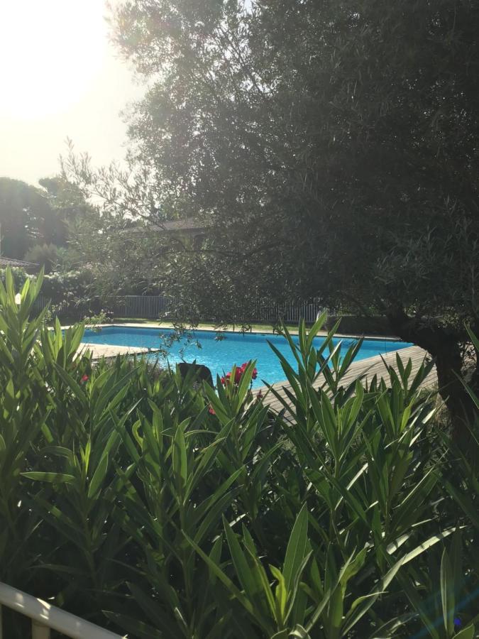 Appartement Appt T2 Standing avec Piscine et Terrasse à Porto-Vecchio  Extérieur photo